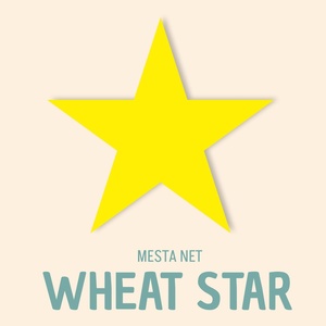 Обложка для MESTA NET - Cat party