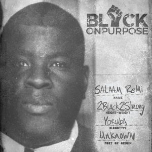 Обложка для Salaam Remi - Say It Loud (Everybody Black Re-Flip)