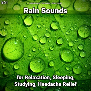 Обложка для Calming Sounds, Rain Sounds, Nature Sounds - Nature Sounds