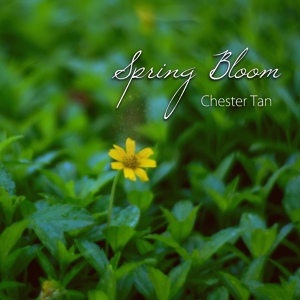 Обложка для Chester Tan - Daisies and the Sun