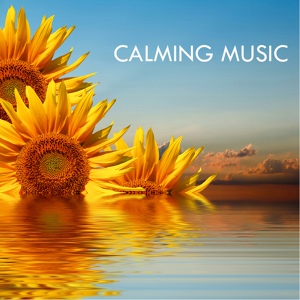 Обложка для Calming Music Academy - Scarborough Fair - Calming Relaxing Music