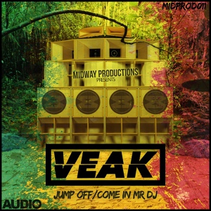 Обложка для Veak - Come In Mr DJ