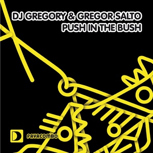 Обложка для DJ Gregory & Gregor Salto - Push In The Bush [Main Mix]/2010