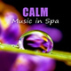 Обложка для Wellness Spa Music Oasis - Body Care (Smooth Music)