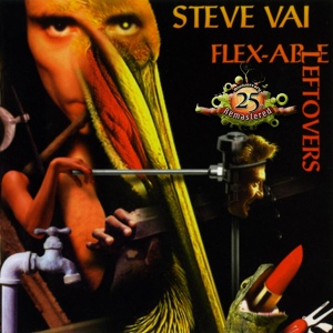 Обложка для Stevie Vai - You Didn't Break It