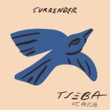 Обложка для Tseba feat. PRICIE - Surrender