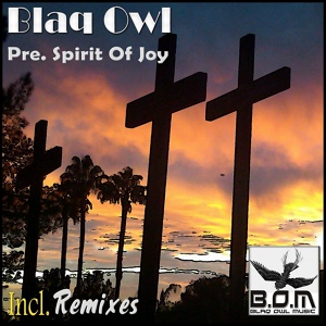 Обложка для Blaq Owl - Spirit Of Joy