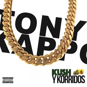 Обложка для Tony Kappo - The Choppa