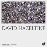 Обложка для David Hazeltine - When I Fell for You