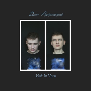 Обложка для Dark Phenomenon - Not in Vain