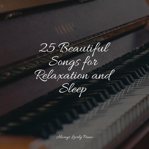 Обложка для Baby Sleep Music, Chillout Piano Lounge, Canciones de Cuna Relax - Liszt Liebestraum No. 2 in E-Flat Major, S. 541, No. 2 Notturno II. Seliger Tod