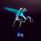 Обложка для What So Not, San Holo - If You Only Knew (feat. Daniel Johns)