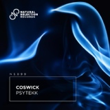 Обложка для Coswick - Psytekk