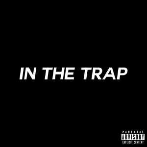 Обложка для In The Trap Records, Black Mike - Rap Cap