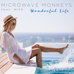 Обложка для Microwave Monkeys feat. Nita - Wonderful Life