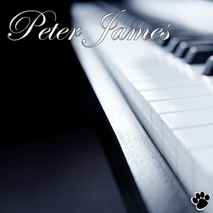 Обложка для Peter James - Mad World