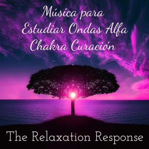Обложка для Oasis of Meditation - Samsara