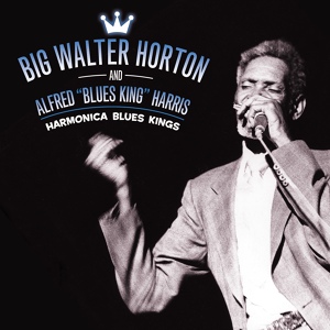 Обложка для Big Walter Horton and Alfred 'Blues King' Harris - Big Walter Horton - Back Home to Mama [alternate]