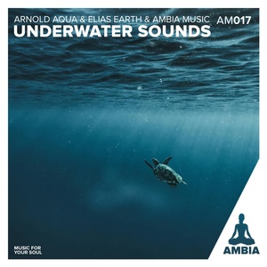 Обложка для Elias Earth, Arnold Aqua, Ambia Music - Undersea