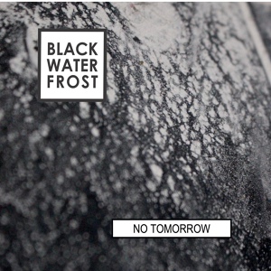 Обложка для Black Water Frost - Purveyors Of Hope