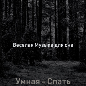 Обложка для Веселая Музыка для сна - Музыка (Фокус)