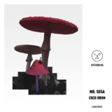 Обложка для Mr. Sosa - Coco Drum