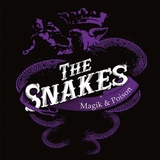 Обложка для The Snakes - Trouble Maker