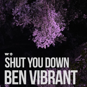 Обложка для Ben Vibrant - Shut You Down