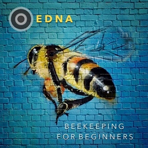 Обложка для EDNA - The World's Gone Mad