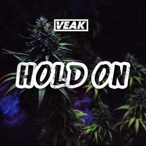 Обложка для Veak - Hold On VIp