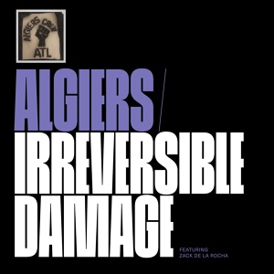 Обложка для Algiers x Samuel T. Herring x Jae Matthews - Irreversible Damage (feat. Zack De La Rocha)