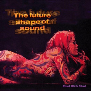 Обложка для The Future Shape Of Sound - Space Aged Out