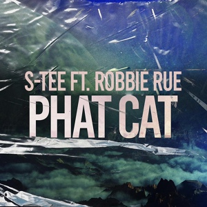 Обложка для S-Tee feat. Robbie Rue - Phat Cat