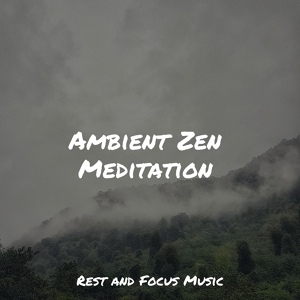 Обложка для Relaxing Nature Music, Guided Meditation Music Zone, reiki tribe - Calm & Chilled