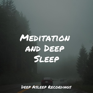 Обложка для Relaxation Music Guru, Serenity Spa Music Relaxation, Relaxing Nature Music - Relaxation Memories