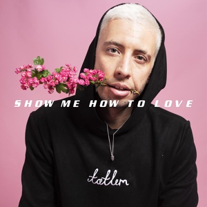 Обложка для Example feat. Hayla - Show Me How to Love