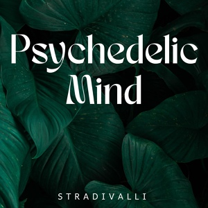 Обложка для Stradivalli - Psychedelic Mind