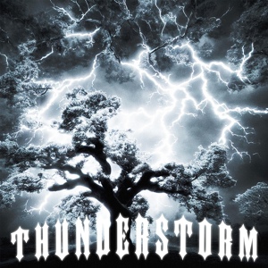 Обложка для strvight - Thunderstorm
