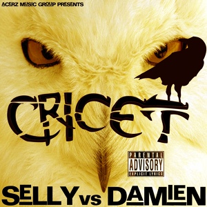 Обложка для Cricet - My Music