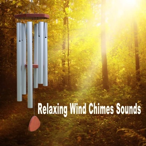 Обложка для Relaxing Wind Chimes Sounds - Nature's Melody Wind Chimes, Pt. 7