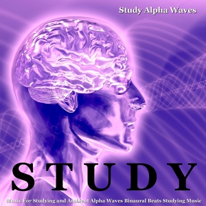 Обложка для Study Alpha Waves - Ambient Study Music for Reading