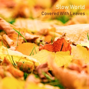 Обложка для Slow World - Covered With Leaves