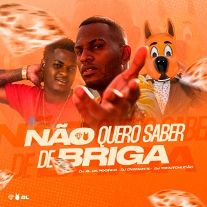 Обложка для DJ 2L DA ROCINHA, Dyamante DJ feat. DJ Tchutchucão - Não Quero Saber de Briga