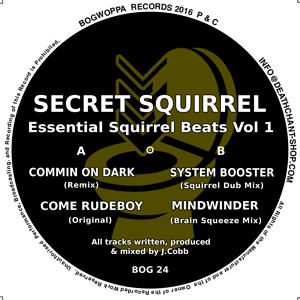 Обложка для Secret Squirrel - System Booter