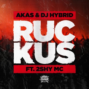 Обложка для Akas, DJ Hybrid feat. 2Shy MC - Ruckus