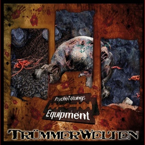 Обложка для Trümmerwelten - The Painful Fact