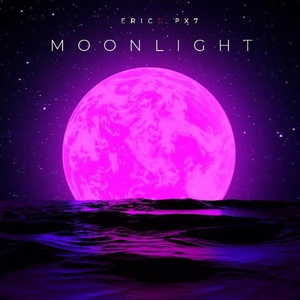 Обложка для Eric Fx7 - Moonlight