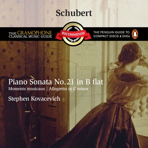Обложка для Stephen Kovacevich - Schubert: Piano Sonata No. 21 in B-Flat Major, D. 960: II. Andante sostenuto