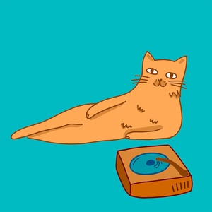 Обложка для POZZY, Chill Kitten - Morning Show