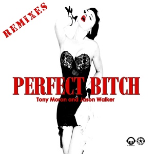 Обложка для Tony Moran, Jason Walker - Perfect Bitch